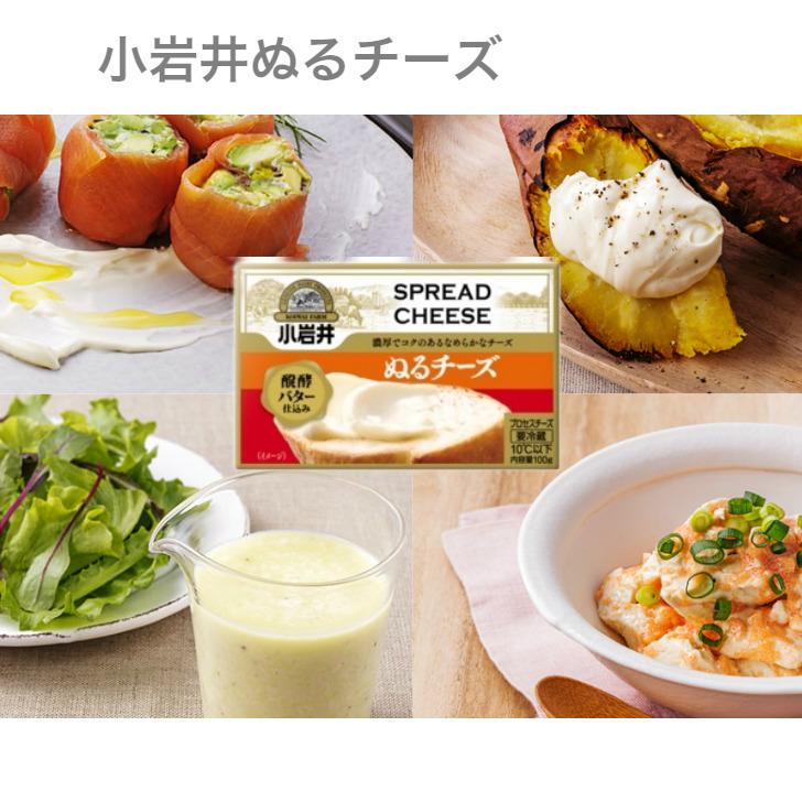 小岩井乳製品バラエティーセット 送料無料