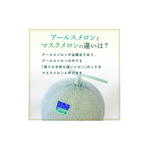 ふるさと納税 茨城県 鉾田市 アールスメロン（マスクメロン）　1個入り（約1.5kg〜2kg）×3回