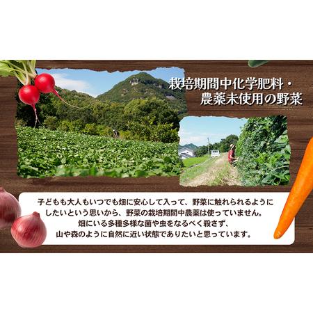 ふるさと納税 瀬戸内小豆島そだちの旬野菜セット 農家直送 香川県土庄町