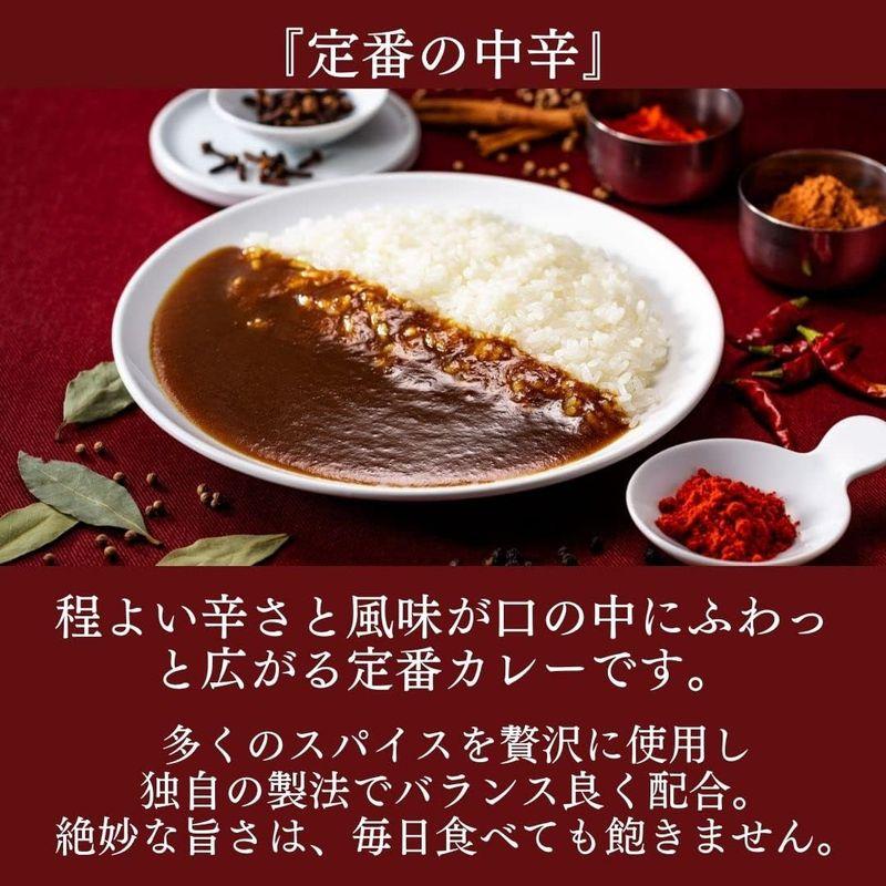 博多の名店ナイル スペシャル レトルトカレー 中辛 180ｇ (１０個セット)