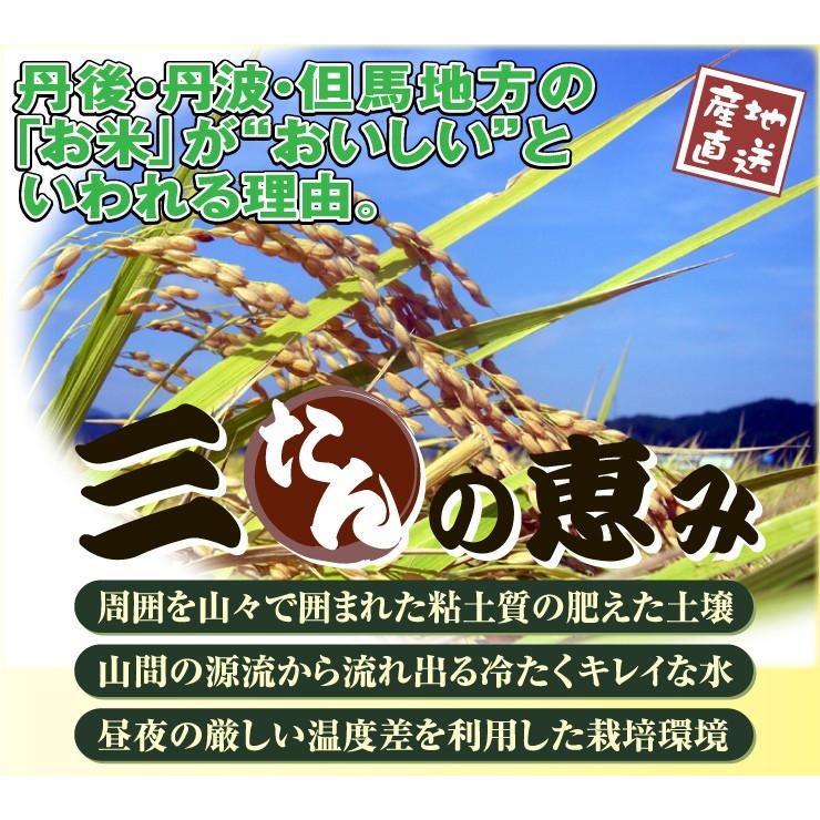 新米 お米 2kg コシヒカリ 農薬不使用 兵庫県 丹波篠山産 一等米 分づき可 当日精米 令和5年産 小分け 安い