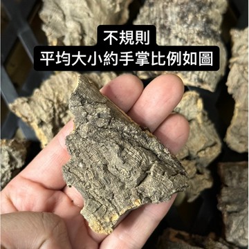 爬爬來了 小塊樹皮 適合飼養盒 鼠婦 蟑螂 守宮 蜘蛛 陸龜 爬爬最愛 昆蟲周邊 飼養盒 杜比 生態缸 水族