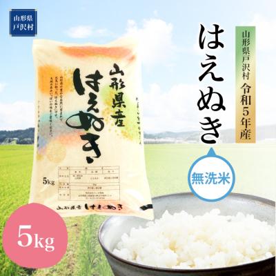 ふるさと納税 戸沢村 令和5年産  はえぬき5kg　山形県 戸沢村 産