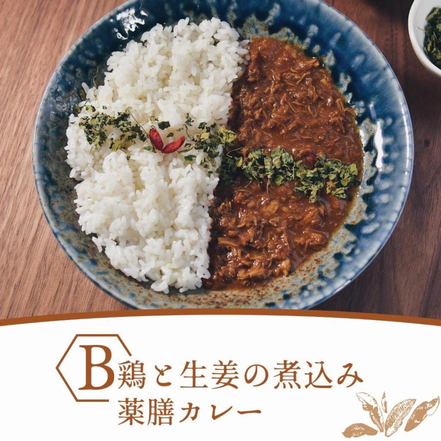 鶏と生姜の煮込み薬膳カレー