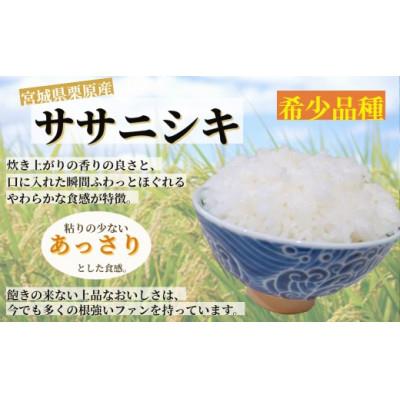 ふるさと納税 栗原市 宮城栗原産 ササニシキ 白米5kg全12回