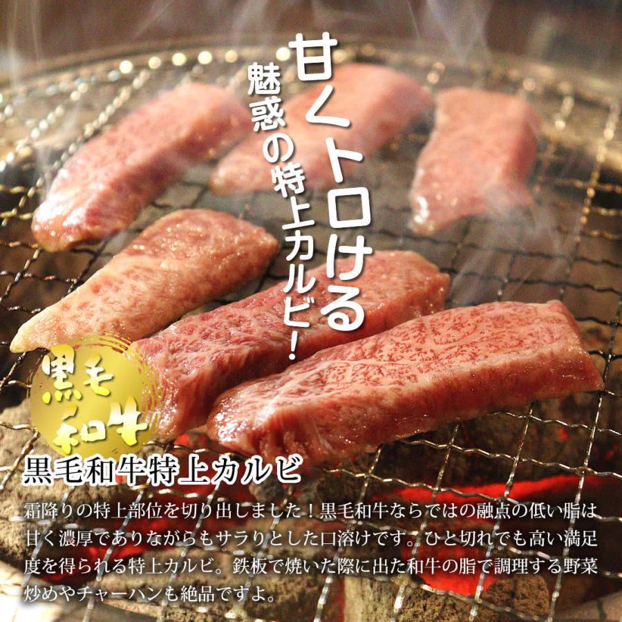 リッチな特上焼肉セット（2〜3人前 560g）黒毛和牛の特上ハラミ＆特上カルビ入りお祝い お歳暮 ギフト