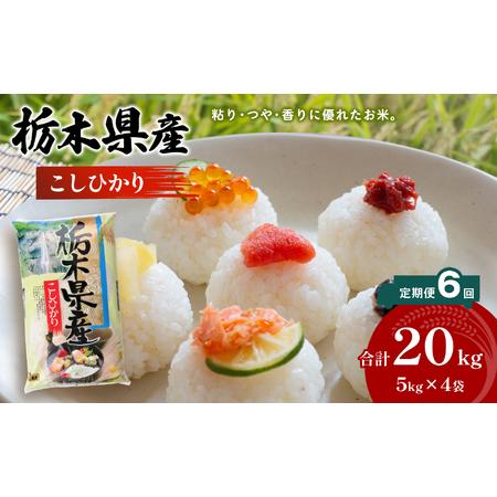 ふるさと納税 栃木県産 こしひかり 20kg×6回 真岡市 栃木県 送料無料 栃木県真岡市