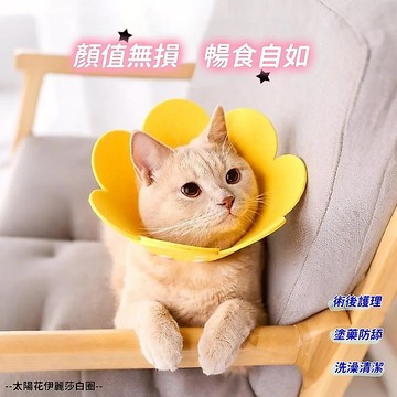 💖【台灣出貨】🚀 寵物伊麗莎白圈 太陽花伊麗莎白圈 貓咪項圈 術後護理 防舔防咬 狗狗頸圈 貓咪脖圈 小貓項圈 寵物用品