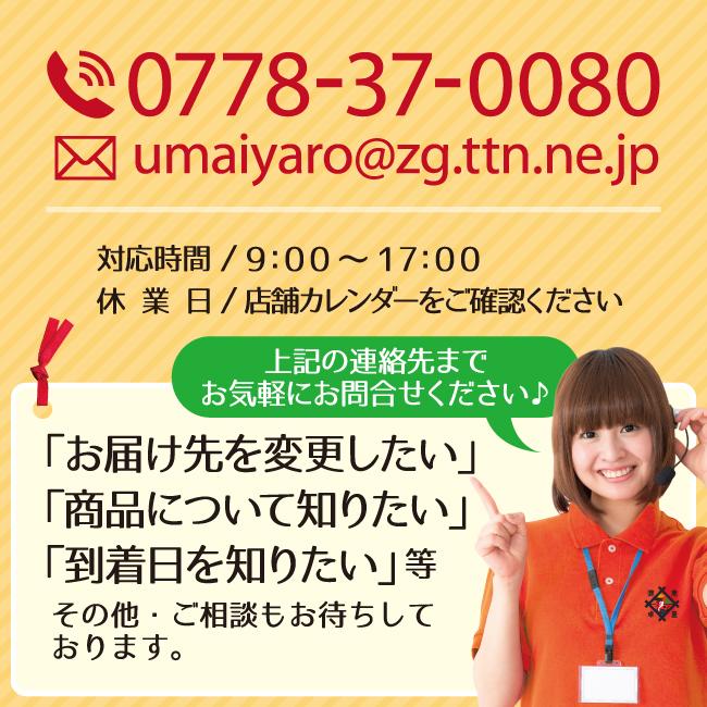 お歳暮 スルメイカ 漁師漬け 2杯入り 醤油漬け ゲソ付き するめいか 沖付け