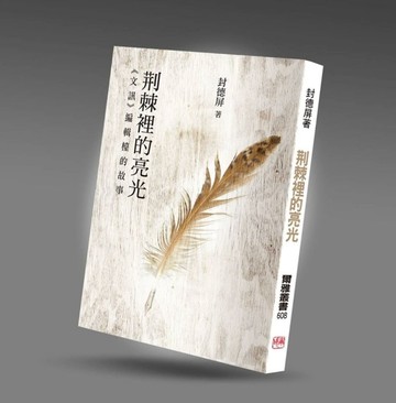荊棘裡的亮光[二手書_良好]