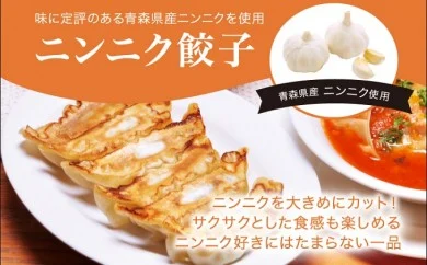 「宇都宮餃子館」ニンニク餃子 960ｇ（４８個）≪ギョーザ 冷凍餃子 冷凍食品 グルメ 食品 惣菜 中華惣菜 点心 中華≫