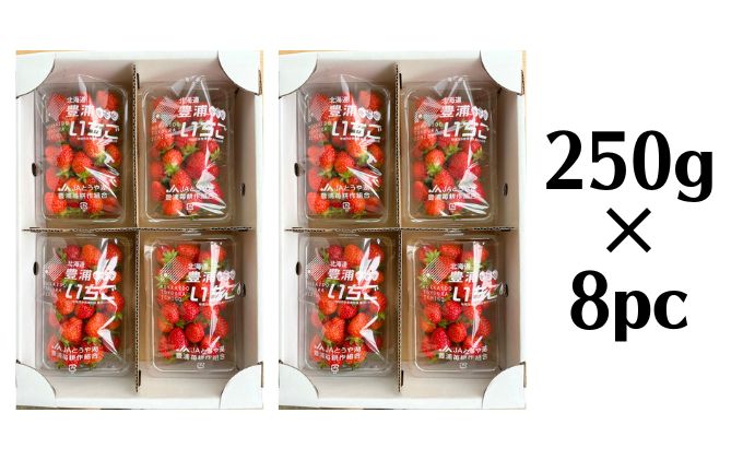 2024年5月上旬から出荷 北海道 豊浦 いちご 加工用 小粒 けんたろう 250g×8パック 約2kg 農園直送 採れたて 新鮮 産直 苺 ストロベリー
