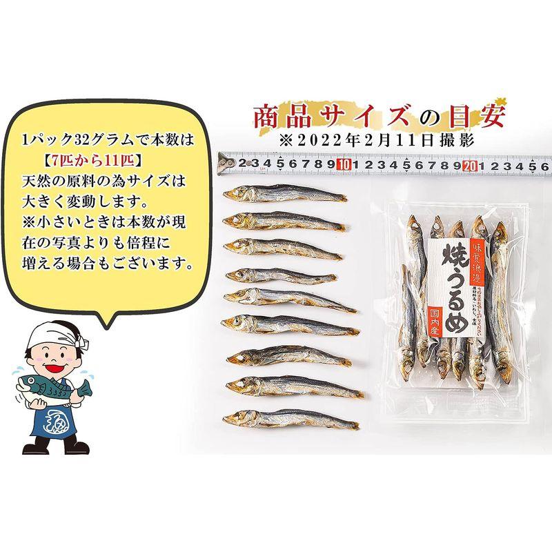 うめ海鮮 国産 干物 小魚 焼きうるめ 32g×10個（ 無添加 塩のみ ）焼 うるめいわし 丸干し めざし うるめ おつまみ メザシ ひも