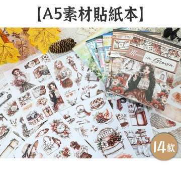 RAYRAYGO【A5素材貼紙本】14款 20頁不重複 霧面PET+書寫紙+和紙 有模切 插畫貼紙 人物貼紙 手帳貼紙