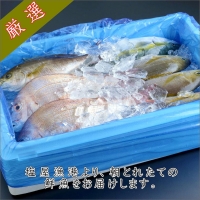 御坊産　鮮魚セット2.5kg沖縄・北海道・東北・九州