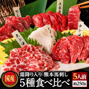 馬刺し 熊本 肉 ギフト お試し 5種食べ比べセット 大トロ 中トロ 上赤身 たてがみ ヒレ 5人前 250g 送料無料 セット 馬肉 焼肉 利他フー