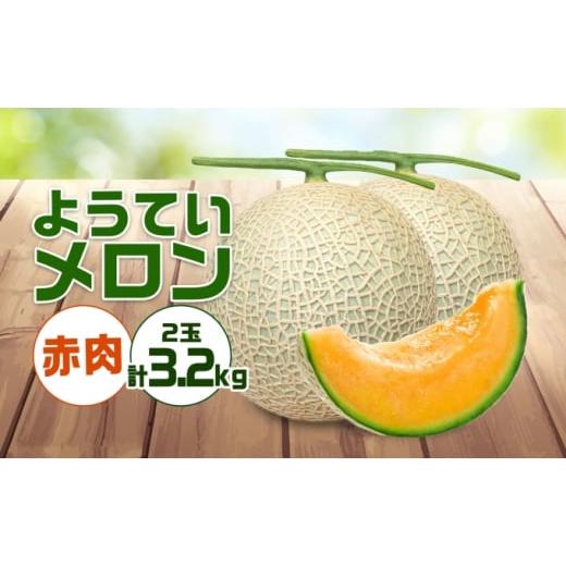 ふるさと納税 北海道 倶知安町 北海道 赤肉メロン 約1.6kg 2玉 メロン 赤肉 果物 フルーツ 甘い 完熟 スイーツ デザート 産直 国産 贈答品 お祝い ギフト羊蹄…