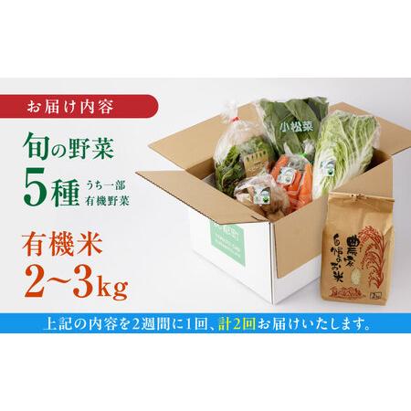 ふるさと納税 新米 有機米 2kg 旬の野菜 5種セット 詰め合わせ 野菜詰め合わせ 熊本県産有機野菜 山都町産有機野菜 産地直送.. 熊本県山都町