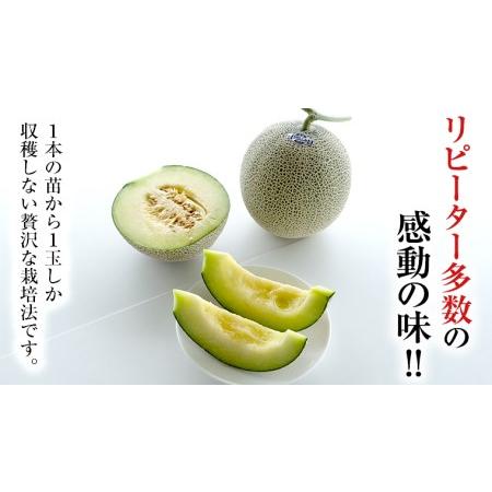 ふるさと納税 季節限定 ！ 甘さ満点 アールス メロン 2玉 入箱  先行予約 果物 フルーツ 農家直送 産直 青肉メロン 特.. 茨城県桜川市