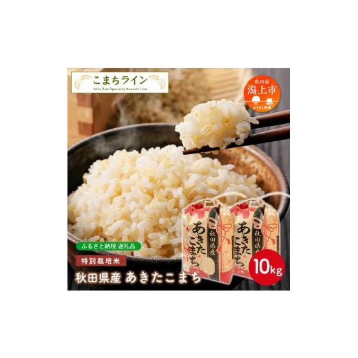 ふるさと納税 秋田県 潟上市 令和5年産 秋田県産 あきたこまち特別栽培米 10kg(5kg×2袋)