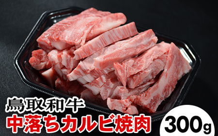 鳥取和牛中落ちカルビ焼肉（300g）※着日指定不可※離島への配送不可