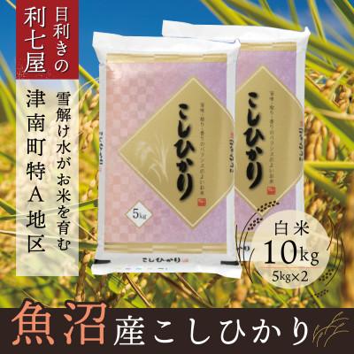 ふるさと納税 津南町  魚沼産コシヒカリ 白米10kg 魚沼地域津南町の美味しいお米