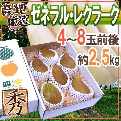 ”ゼネラルレクラーク” 秀品 4〜8玉前後 約2.5kg 化粧箱 産地厳選 洋梨 送料無料