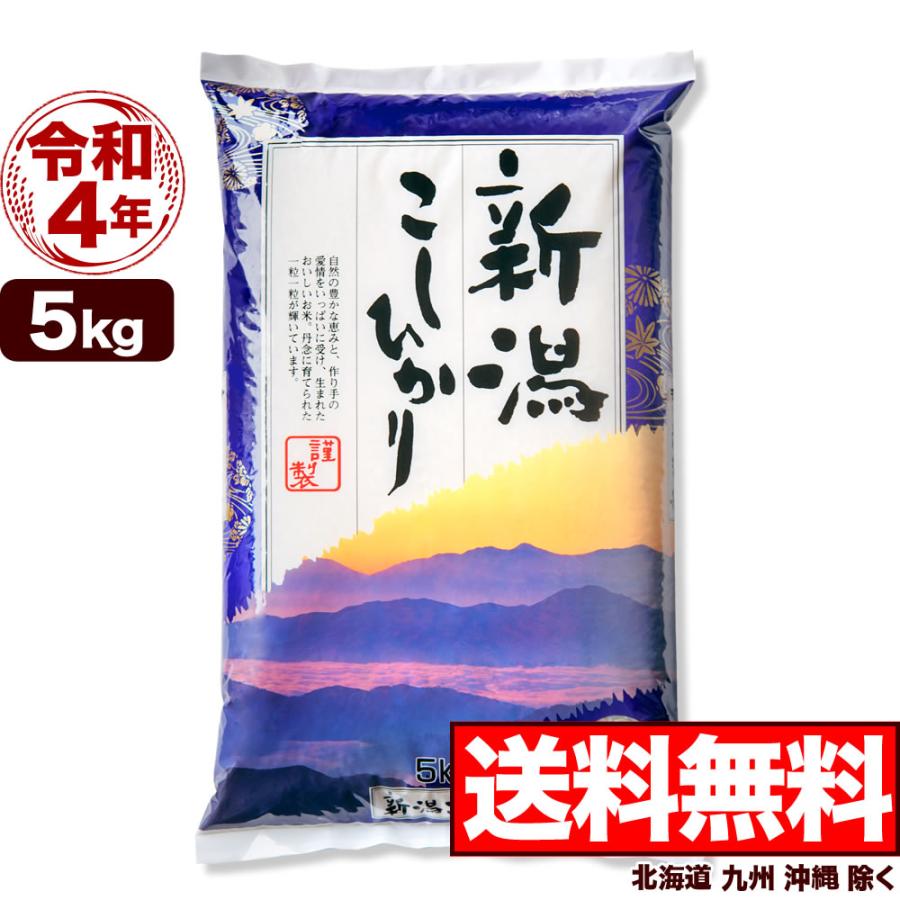 新米 お米 5kg 新潟産コシヒカリ 山並 令和5年産 送料無料 （北海道、九州、沖縄除く）