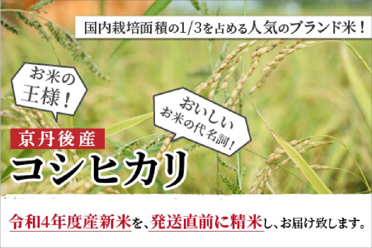 京丹後産 コシヒカリ≪令和4年度産≫5kg