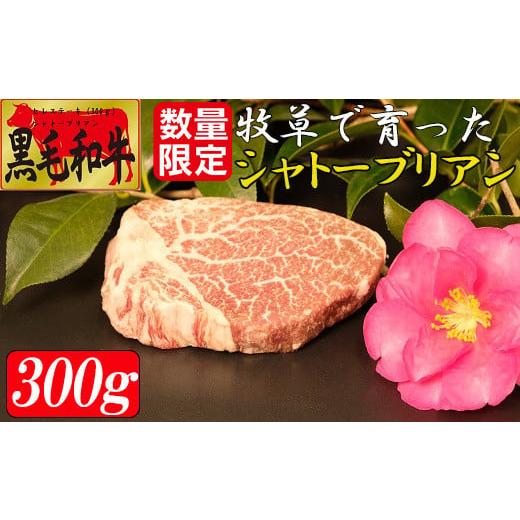 ふるさと納税 鹿児島県 大崎町 牧草で育った黒毛和牛 牛ヒレ（数量限定）