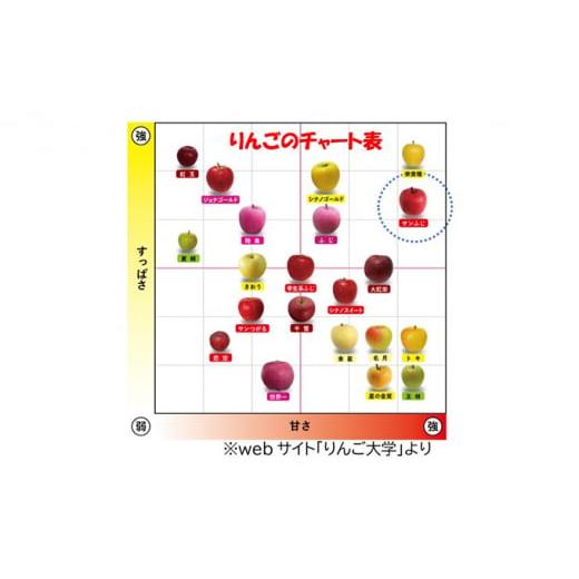 ふるさと納税 青森県 弘前市 贈答用 サンふじ 約3kg