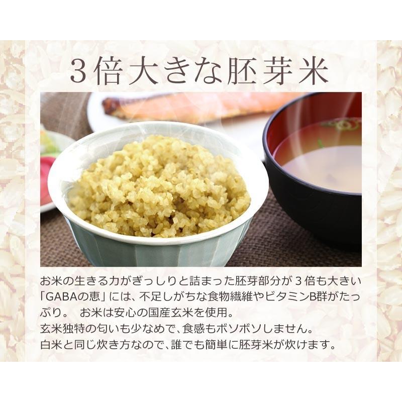 玄米 gABAの恵 国産 巨大胚芽米 ギャバ 300g 玄米 白米モードで炊けます 送料無料 国内産100％ お米 スーパーフード 食物繊維