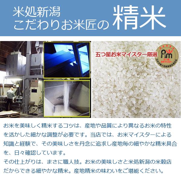 玄米 30kg 魚沼産 コシヒカリ（ 玄米 ） 30kg 十日町地区限定米（ 中魚沼産 ） 令和5年産 2等米