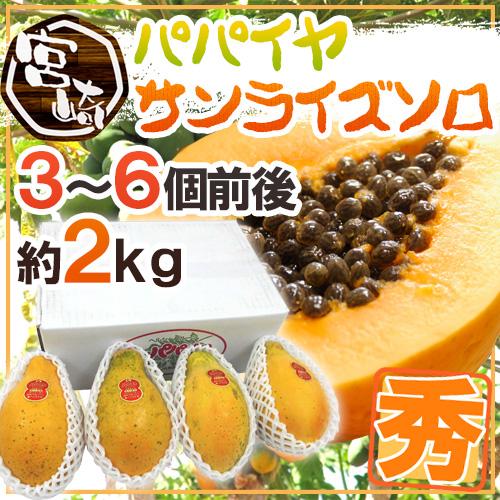 宮崎パパイヤ ”サンライズソロ” 3〜6玉前後 約2kg 送料無料