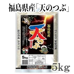 福島県産米　天のつぶ　5kg×１袋