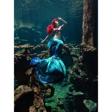 AturDive長夢潛水美人魚魚尾泳衣成人兒童海洋館亮片燙金腳蹼專業