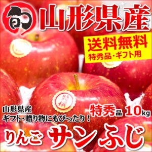 山形県産 冬ギフト りんご サンふじ 10kg (贈答用 特秀品 28～36玉入り)
