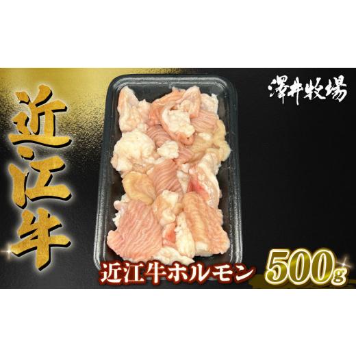 ふるさと納税 滋賀県 竜王町 近江牛 ホルモン 500g (250g×2)  黒毛和牛 牛肉 肉 ギフト 焼肉 焼き肉 自宅用 高級 黒毛和牛 国産 ふるさと納税 ブランド牛 …