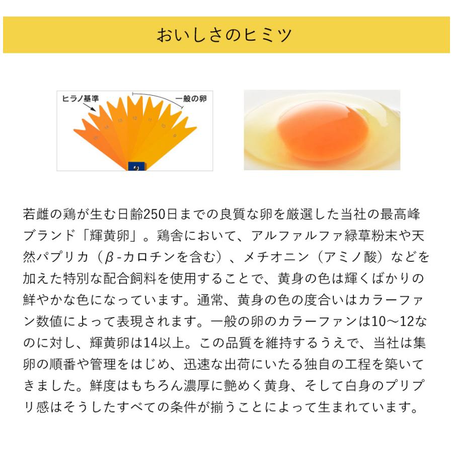 　九州産　輝黄卵　（玉子・たまご・卵・タマゴ）　6玉パック　福岡産・九州産　九州　たまご