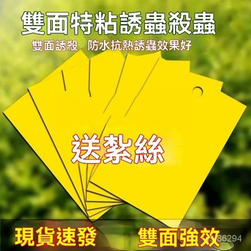 🔥臺灣出貨🔥雙麵粘蟲黃闆果蠅誘蟲粘闆防水柑橘子樹瓜果實蠅針蜂蒼蠅大棚薊馬hhfoof