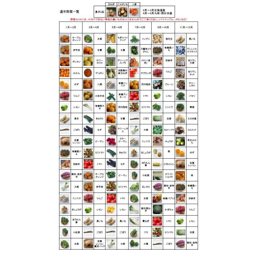 むつみ屋　旬の有機野菜セット10〜12品