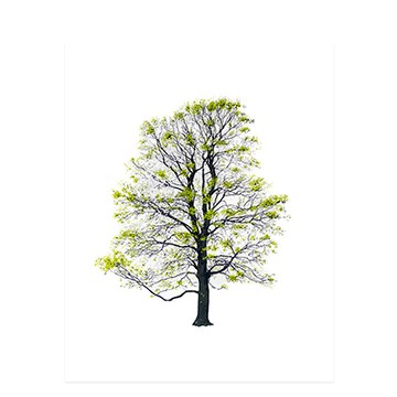 Tree 四季的樹 絹印版畫海報（春）