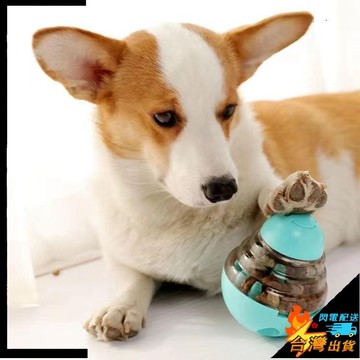 【台灣出貨】寵物用品 寵物漏食器 狗狗不倒翁玩具 益智解悶 泰迪玩具 狗糧慢食器 搖擺球慢食器 狗狗玩具 寵物玩具