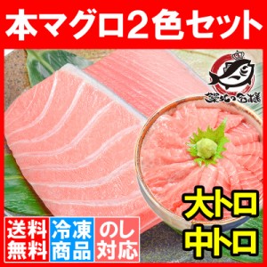 送料無料 本まぐろ大トロ200g＆中トロ200gセット 築地の王様ブランドまぐろ 通が唸る本マグロの大トロと人気1番中トロを極める！【本鮪