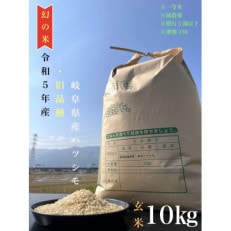 令和5年産　ハツシモ(旧品種)　10kg　玄米