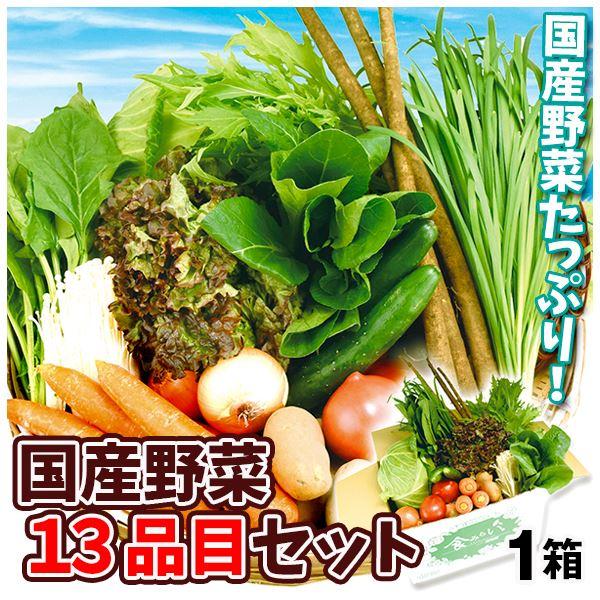 国産野菜13品目セット 1組 冷蔵 ご家庭用 送料無料 食品