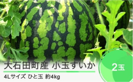 先行予約  小玉すいか 4L×2玉 2024年産 令和6年産 すいか スイカ  ja-sukoa4