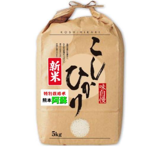 新米 令和5年産 熊本 阿蘇 コシヒカリ 特別栽培 5kg 出荷日精米 (５分づき（精米後約4.75kg）)