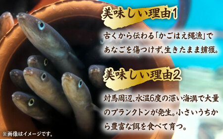 骨まで食べる 白焼き あなご （5袋）穴子 白焼 海鮮 国産 フワフワ 魚介 特産物[WAI020]