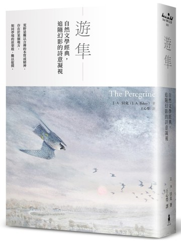 遊隼：自然文學經典，追隨幻影的詩意凝視[二手書_良好]